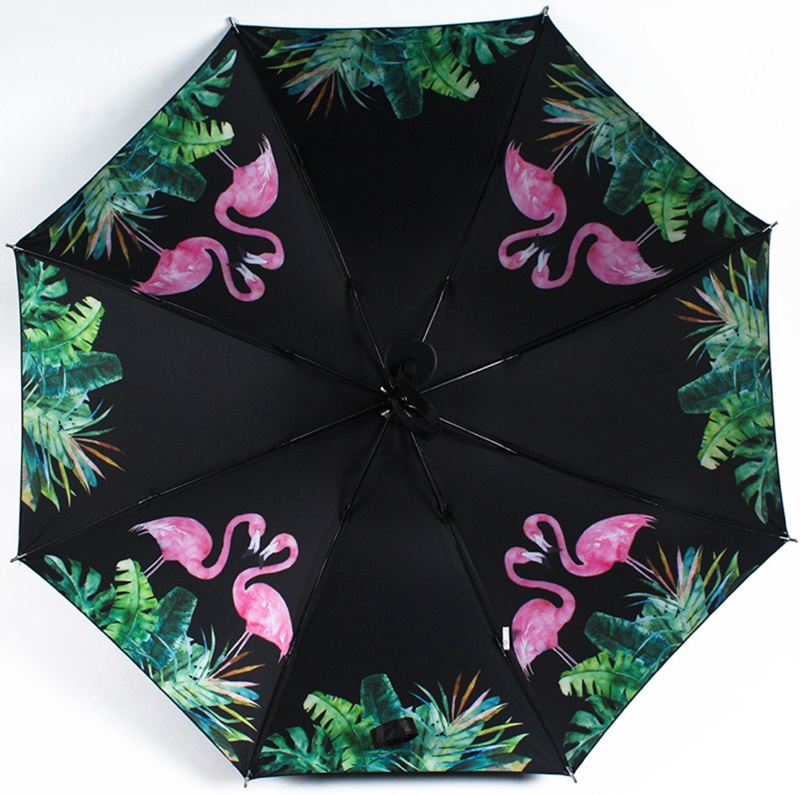 Umbrella